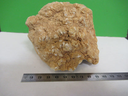 AMAZING GEODE QUARTZ MINERAL SAMPLE BEAUTIFUL SPECIMEN AS PICTURED T7-FD-92