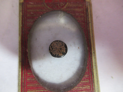 ANTIQUE VICTORIAN PREPARED SLIDE LONDON MICROSCOPE PART AS PICTURED 11-DT-C