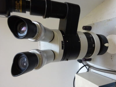 Edmunds Scientific Wild M7 Heerbrugg Swiss Made Optical Stereo Microscope + Lamp