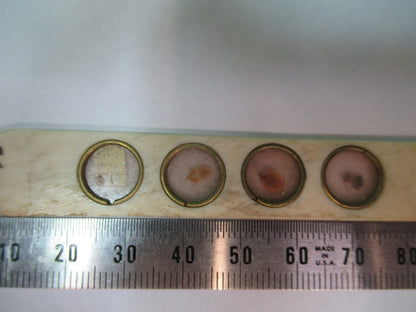 ANTIQUE SLIDE SPECIMEN made in BONE RARE MICROSCOPE PART AS PICTURED 12-DT-T3