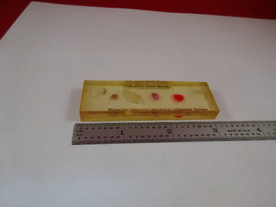 Vintage Fish Scales Types Specimen Optics Part
