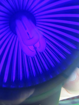 OPTISCHES GROSSES QUADRATISCHES GLAS DUNKELBLAUER FILTER LASEROPTIK BIN#28-78
