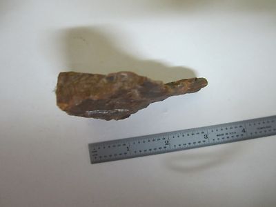 PETRIFIED WOOD SAMPLE BIN#T6-05