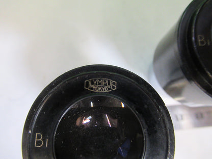 OLYMPUS JAPAN PAIR EYEPIECES WF10X OPTICS MICROSCOPE PART AS PICTURED X4-A-33