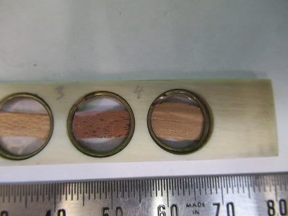 ANTIQUE PREPARED SLIDE IN BONE RARE UK MICROSCOPE PART AS PICTURED X6-A-68