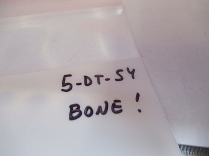 ANTIQUE PREPARED SLIDE IN BONE RARE UK MICROSCOPE PART AS PICTURED &5-DT-S4