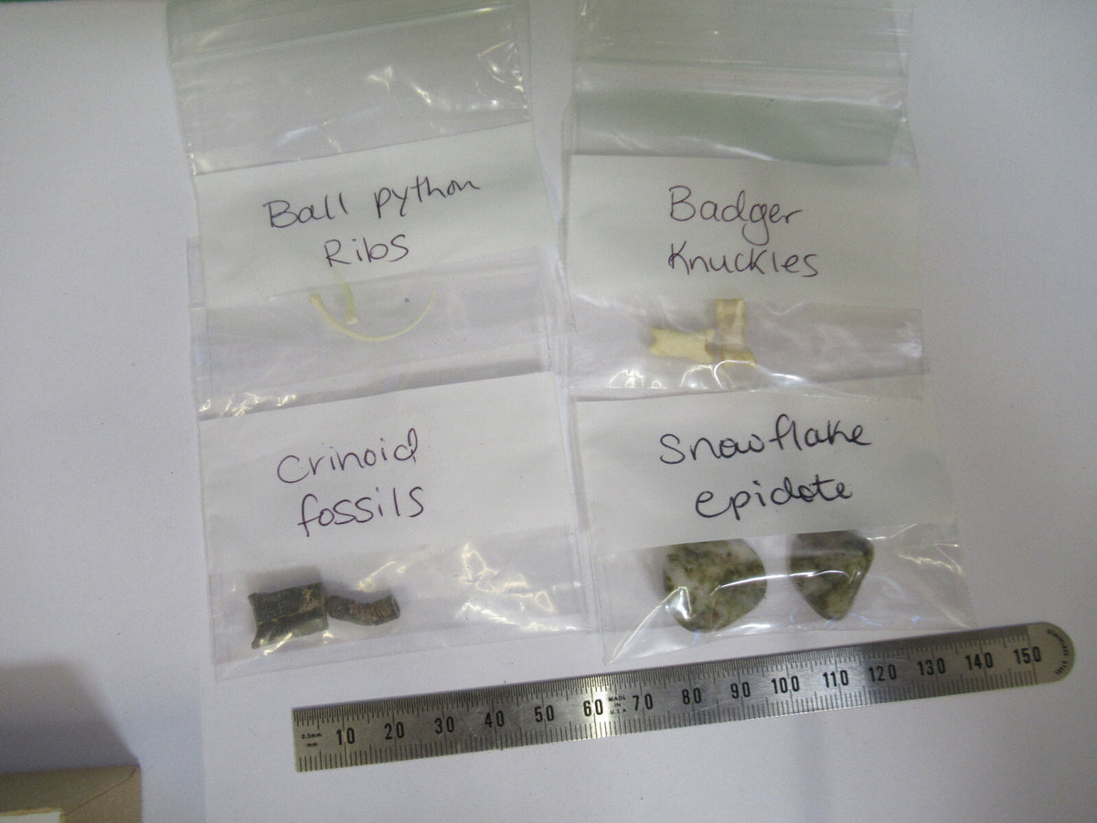 LOT PYTHON CRINOID EPIDOTE BADGER MICROSCOPE SAMPLES AS PICTURED X4-A-64