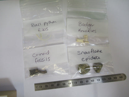 LOT PYTHON CRINOID EPIDOTE BADGER MICROSCOPE SAMPLES AS PICTURED X4-A-64