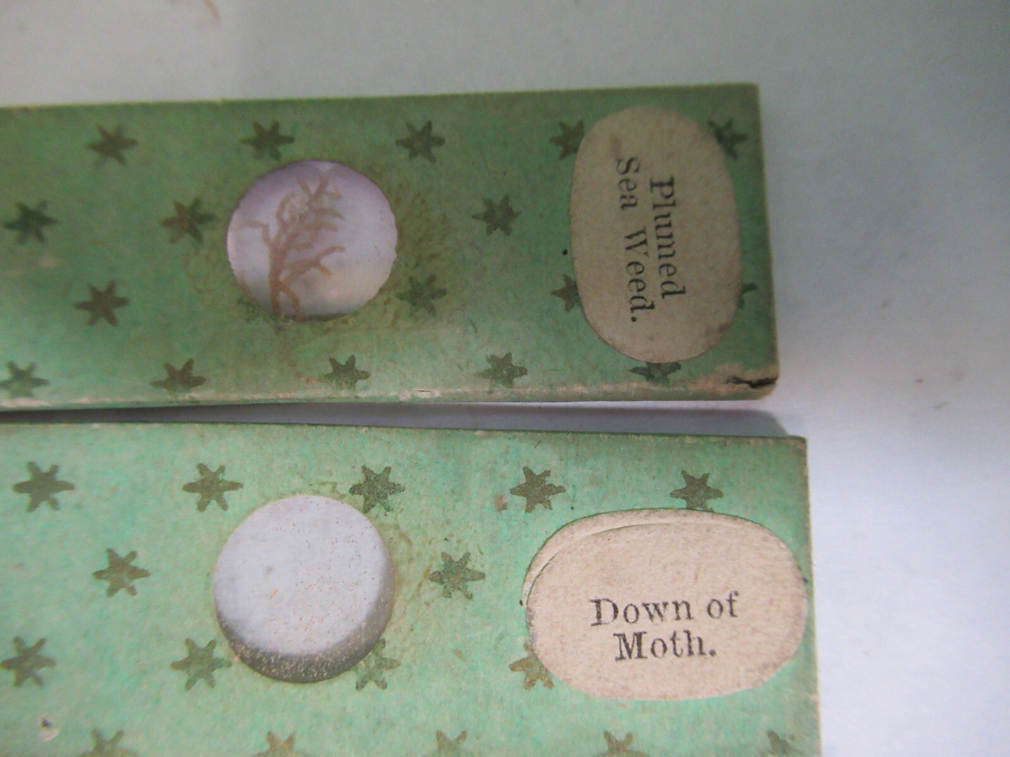 Antique Victorian Prepared Slide Lot London Microscope Part 12-DTFD7