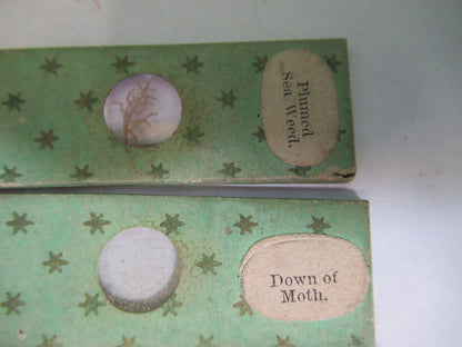 Antique Victorian Prepared Slide Lot London Microscope Part 12-DTFD7