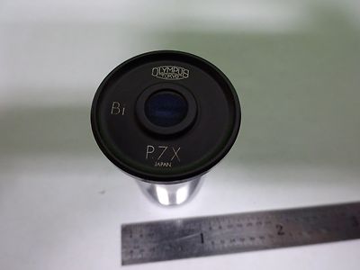 Microscope Eyepiece Ocular Olympus Japan P7X Bi Optics
