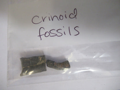 LOT PYTHON CRINOID EPIDOTE BADGER MICROSCOPE SAMPLES AS PICTURED X4-A-64