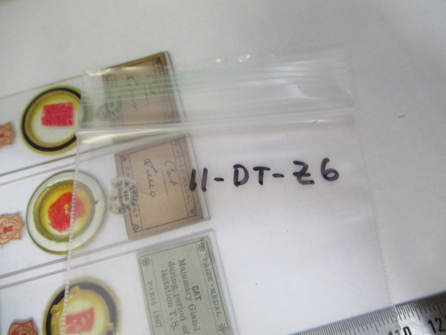 ANTIQUE PREPARED SLIDE LOT 3ea MICROSCOPE PART AS PICTURED 11-DT-Z6