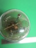 BLILEY QUARTZ BG9A-S GLASS ENVELOPE RESONATOR FREQUENCY 1 MHz HUGE BLANK AT-cut