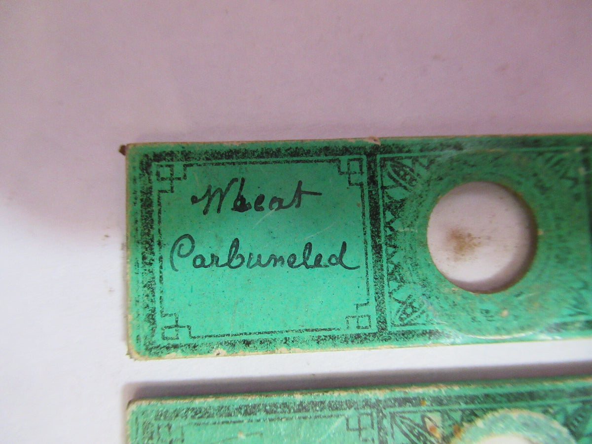 Antique Victorian Prepared Slide Lot London Microscope Part