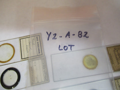 ANTIQUE LOT SLIDES SPECIMEN LONDON UK MICROSCOPE PART AS PICTURED Y2-A-82