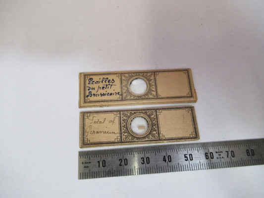 Antique Victorian Prepared Slide Pair London Microscope Part
