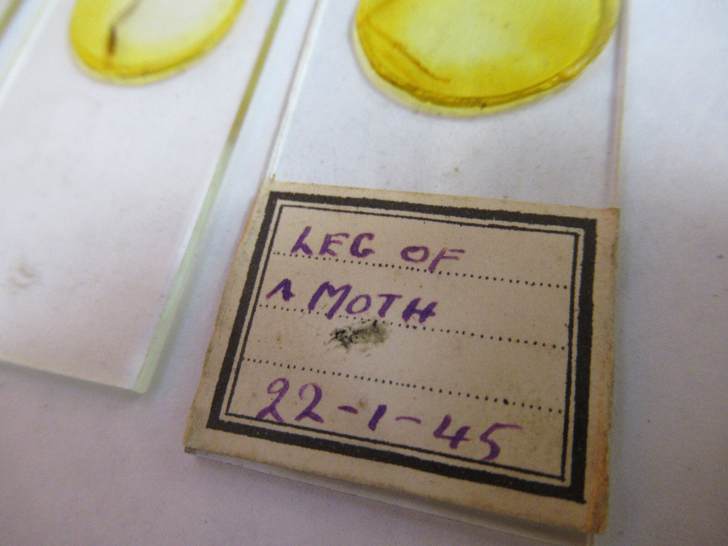 ANTIQUE LOT SLIDES SPECIMEN LONDON UK MICROSCOPE PART AS PICTURED Y2-A-55