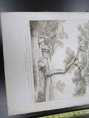 ANTIQUE ETCHING ITALIA ROME CIRCA 1810 GASPARD DUGHET PIETRO PARBONI AS PIC vi