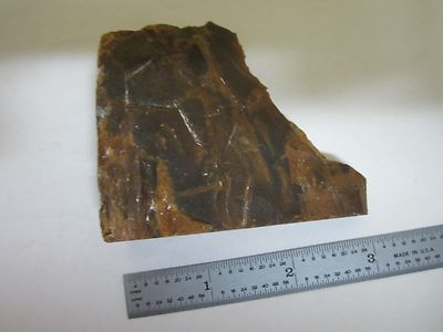 PETRIFIED WOOD SAMPLE BIN#T6-05