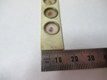 ANTIQUE SLIDE SPECIMEN made in BONE RARE MICROSCOPE PART AS PICTURED 12-DT-T3