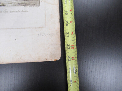 Antique Etching Italia Rome Circa 1810 Gaspard Dughet Pietro Parboni
