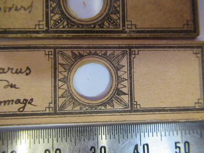 ANTIQUE VICTORIAN PREPARED SLIDE PAIR LONDON MICROSCOPE PART AS PICTURED F8-A-26