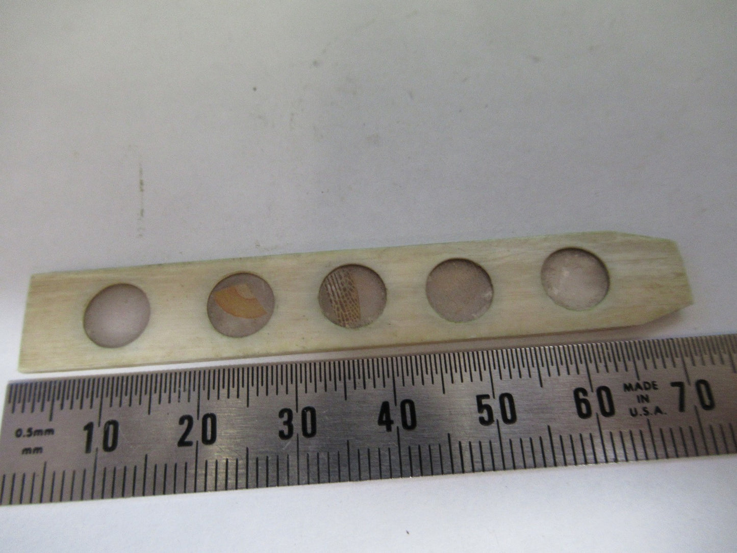 ANTIQUE bone slide specimen London MICROSCOPE PART AS PICTURED 3-dt-fr-b
