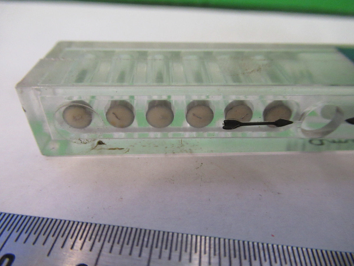 Lot Lamp Bulbs American Cytoscope Makers Model "52" or Instruments
