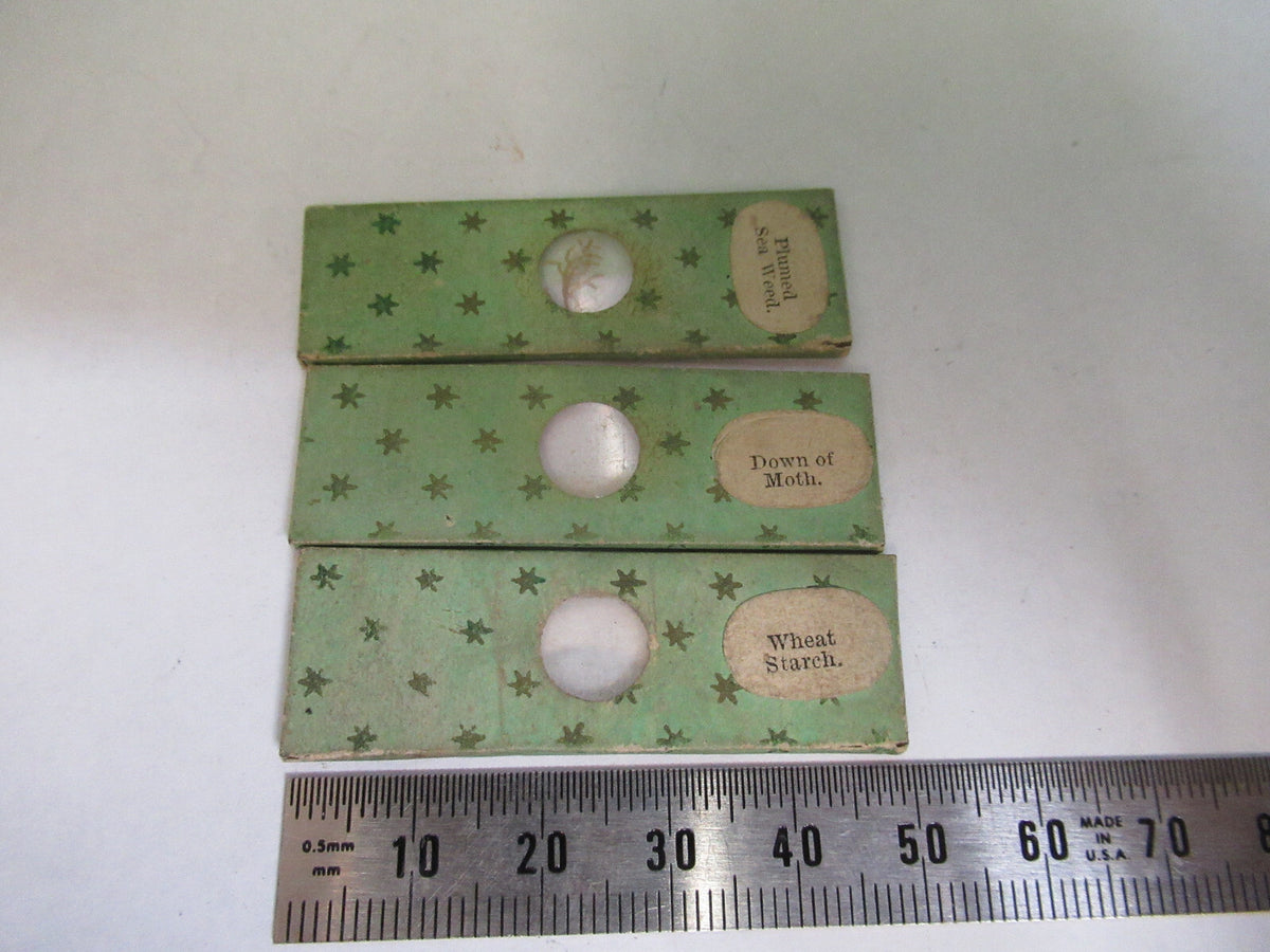 Antique Victorian Prepared Slide Lot London Microscope Part 12-DTFD7
