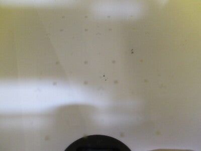 COLLECTABLE SHADOWMASK SEMICONDUCTOR DEVICE UNKNOWN MAKER AS PICTURED &FT-6-106