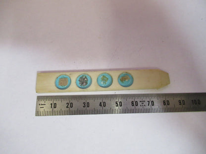 ANTIQUE PREPARED SLIDE IN BONE RARE UK MICROSCOPE PART AS PICTURED &5-DT-S5