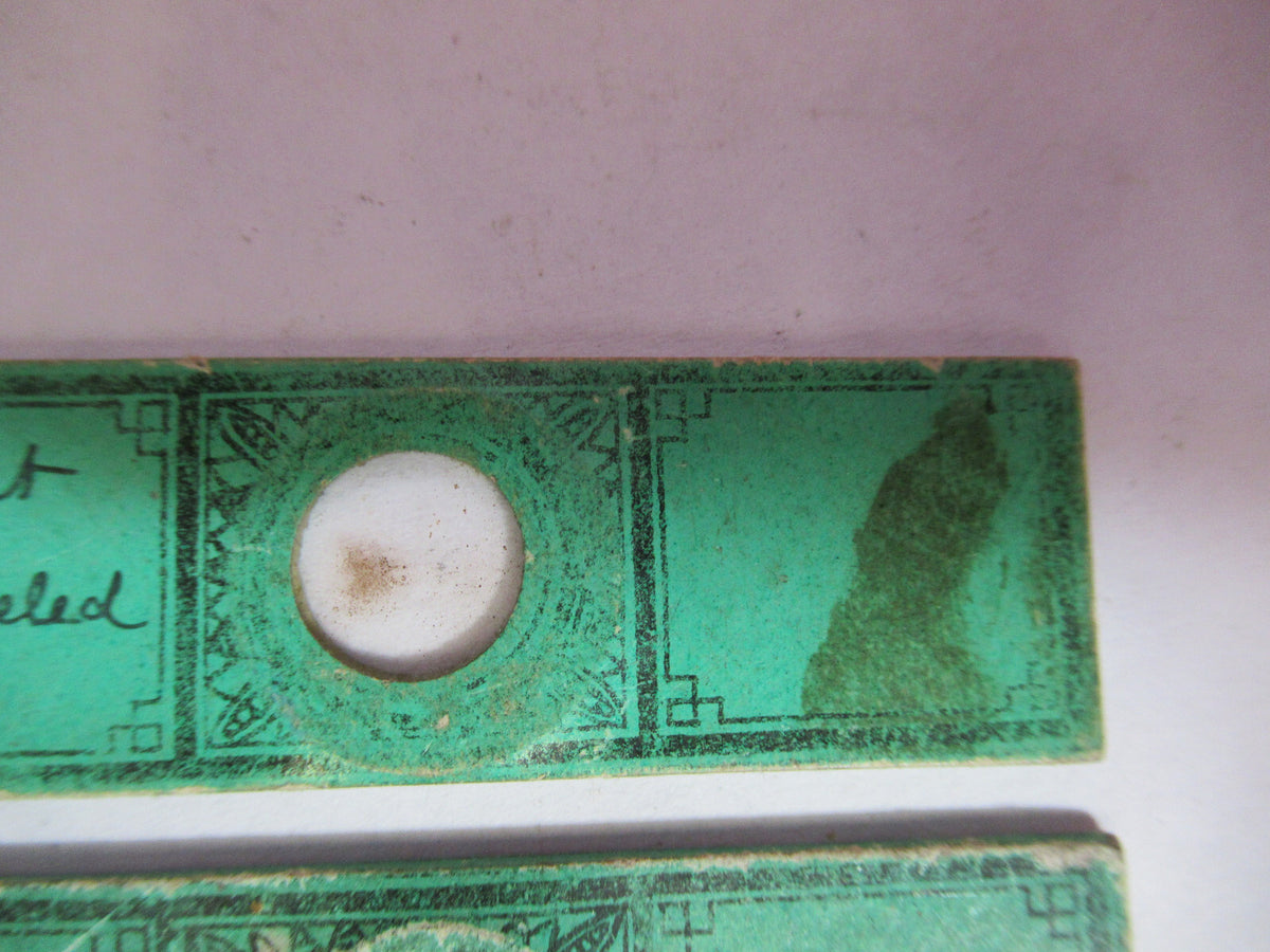 Antique Victorian Prepared Slide Lot London Microscope Part