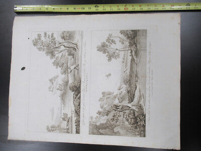 Antique Etching Italia Rome Circa 1810 Gaspard Dughet Pietro Parboni AS Pic xi
