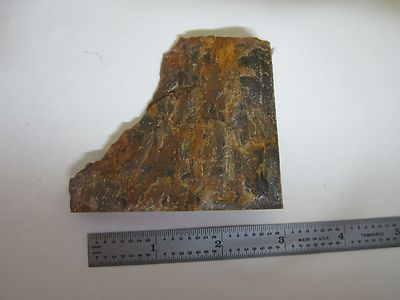 PETRIFIED WOOD SAMPLE BIN#T6-05