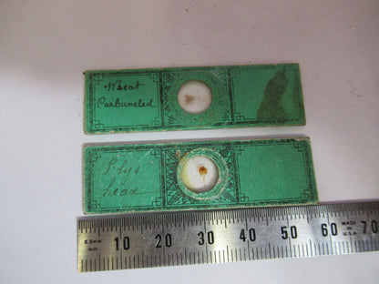 Antique Victorian Prepared Slide Lot London Microscope Part
